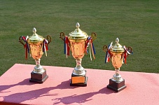 trophy-83115_1280.jpg